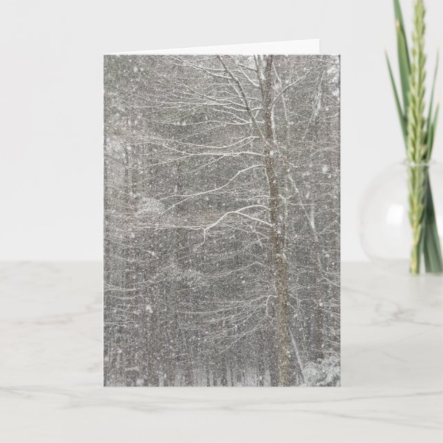 Cartes Pour Fêtes Annuelles Chute de neige (Devant)