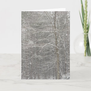 Cartes Pour Fêtes Annuelles Chute de neige