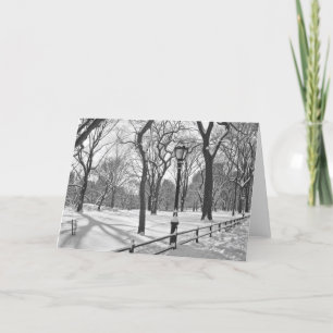 Cartes Pour Fêtes Annuelles Chutes de neige B&W de Central Park