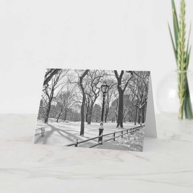 Cartes Pour Fêtes Annuelles Chutes de neige B&W de Central Park (Devant)