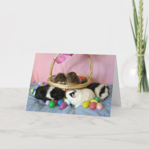 Cartes Pour Fêtes Annuelles Cinq porcs et un panier