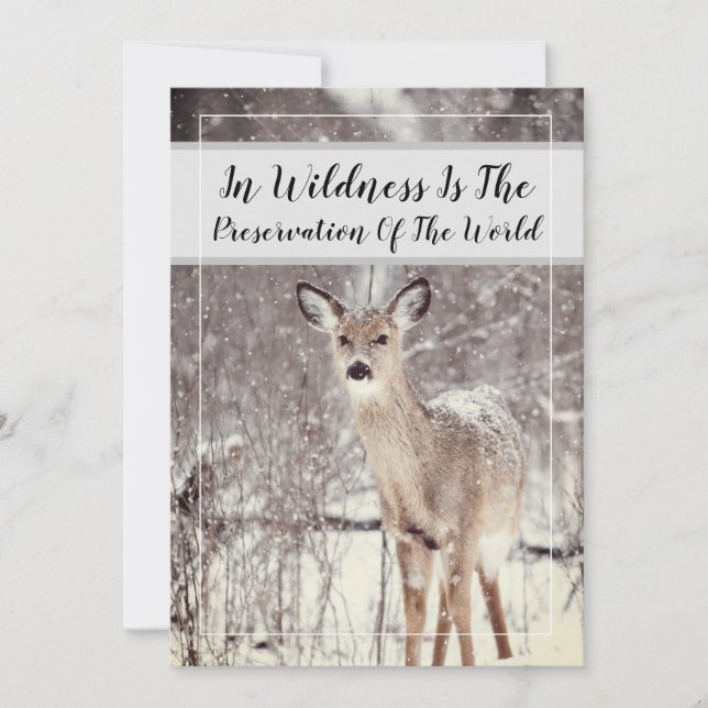 Cartes Pour Fêtes Annuelles Citation Faune Vacances hivernales de cerfs de boi (Devant)