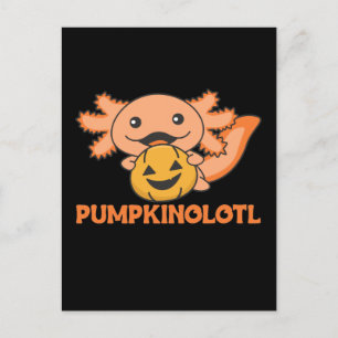 Cartes Pour Fêtes Annuelles Citrouille Axolotl Amateurs De Beaux Animaux Pour 