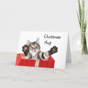 Cartes Pour Fêtes Annuelles Citty Christmas câlin
