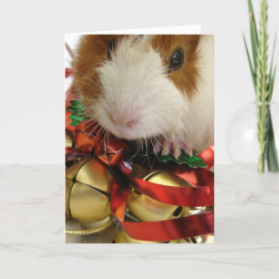 Cartes Pour Fêtes Annuelles Cobaye Brown et blanc de bébé avec Bells