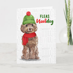 Cartes Pour Fêtes Annuelles Cockapoo Brown Funny Fleas Navidog Noël