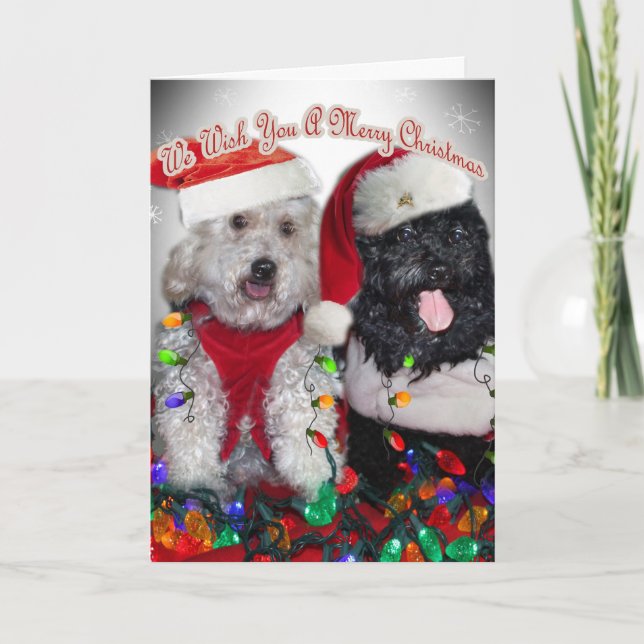 Cartes Pour Fêtes Annuelles Cockapoo nous vous souhaitons le Joyeux Noël (Devant)