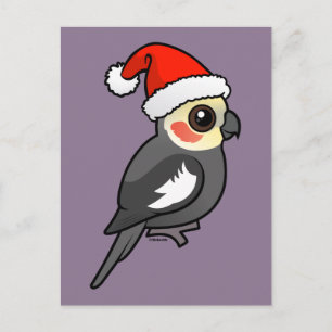 Cartes Pour Fêtes Annuelles Cockatiel Père Noël