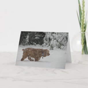 Cartes Pour Fêtes Annuelles Cocker de Milou