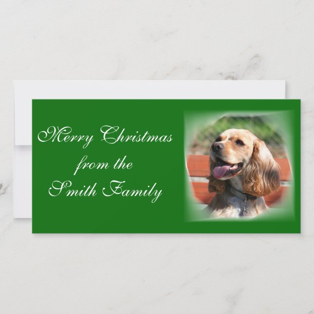 Cartes Pour Fêtes Annuelles Cocker Photocard de Joyeux Noël (Devant)