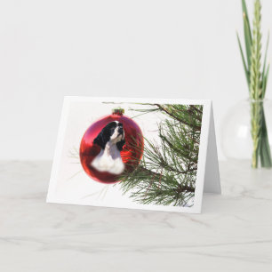 Cartes Pour Fêtes Annuelles Cocker Spaniel Christmas Card Ball