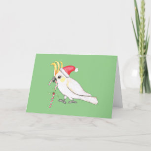 Cartes Pour Fêtes Annuelles Coco à poitrine de soufre style Noël