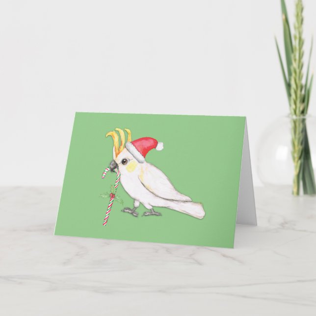 Cartes Pour Fêtes Annuelles Coco à poitrine de soufre style Noël (Devant)