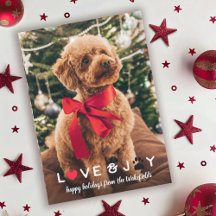 Coeur & Paw Love & Joy Animaux de Noël Photo