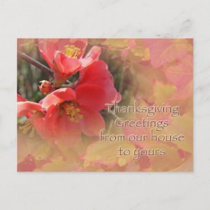 Cartes Pour Fêtes Annuelles Coing de floraison - Chaenomeles speciosa
