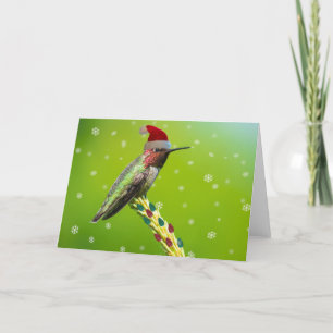 Cartes Pour Fêtes Annuelles Colibri de Noël