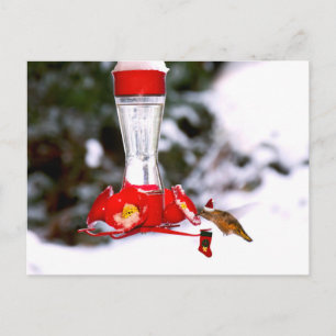 Cartes Pour Fêtes Annuelles Colibri de Noël et neige