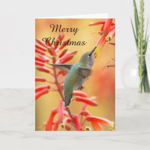 Cartes Pour Fêtes Annuelles Colibri entouré de yucca, Joyeux Noël
