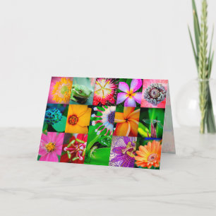 Cartes Pour Fêtes Annuelles Collage Fleur Jardin Floral Toutes les occasions V