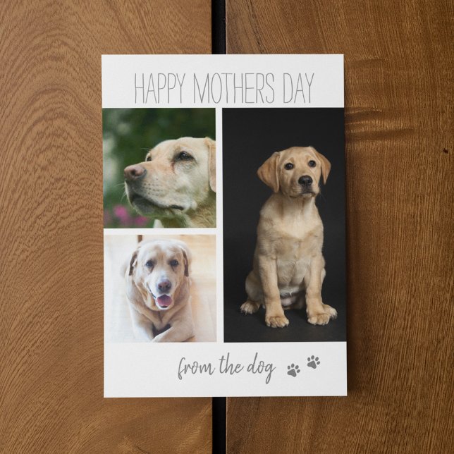 Cartes Pour Fêtes Annuelles Collage photo 3 moderne | Du chien (Créateur téléchargé)