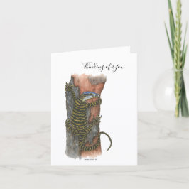 Cartes Pour Fêtes Annuelles Collection Australian Lizard Note Card