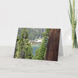 Cartes Pour Fêtes Annuelles Collection verte de château de Vikingsholm de baie