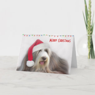 Cartes Pour Fêtes Annuelles Colley barbu de Joyeux Noël