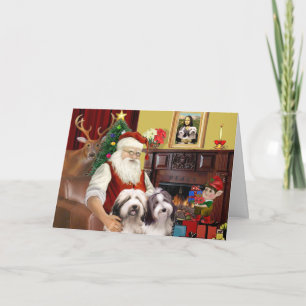 Cartes Pour Fêtes Annuelles Collie barbu de Père Noël