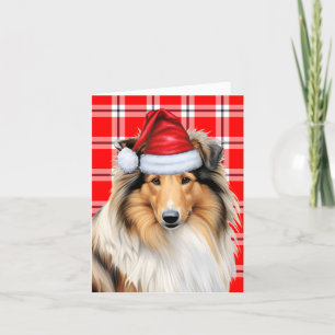 Cartes Pour Fêtes Annuelles Collie Christmas Chien Rouge Plaid Noël