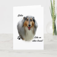 Collie Comme Aucune Autre race