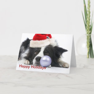 Cartes Pour Fêtes Annuelles collie frontière de noël