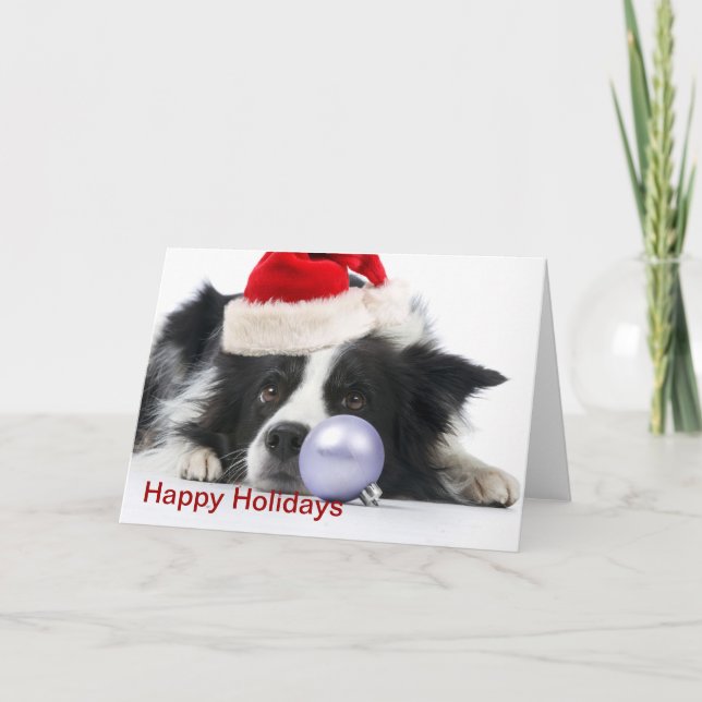 Cartes Pour Fêtes Annuelles collie frontière de noël (Devant)