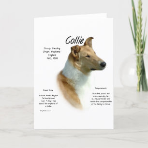 Cartes Pour Fêtes Annuelles Collie (sable lisse) Historique Conception