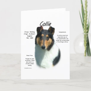 Cartes Pour Fêtes Annuelles Collie (tri lisse) Conception de l'histoire