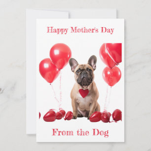Cartes Pour Fêtes Annuelles Collier Cœur Rouge Bouledogue Français Personnalis