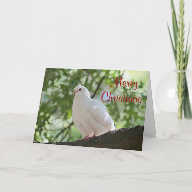 Cartes Pour Fêtes Annuelles Colombe blanche (Devant)