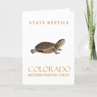 Cartes Pour Fêtes Annuelles Colorado Territoire Bébé Tortue peinte Occidentale