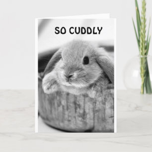 CARTES POUR FÊTES ANNUELLES COMICAL BUNNY DIT **HEUREUX HALLOWEEN**