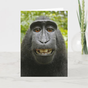 Cartes Pour Fêtes Annuelles Comment ça va ? Funny Cheesy Valentine's Day Card
