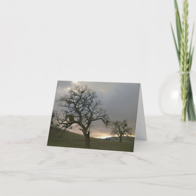 Cartes Pour Fêtes Annuelles Compagnons d'arbre : Chênes d'hiver avec le gui (Devant)