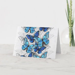 Cartes Pour Fêtes Annuelles Composition des White and Blue Butterflies
