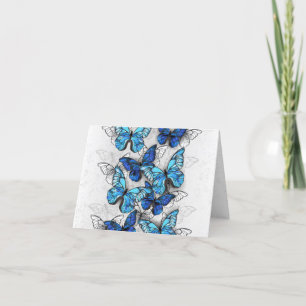 Cartes Pour Fêtes Annuelles Composition des White and Blue Butterflies