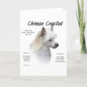 Cartes Pour Fêtes Annuelles Conception de l'histoire de la crête chinoise (pou