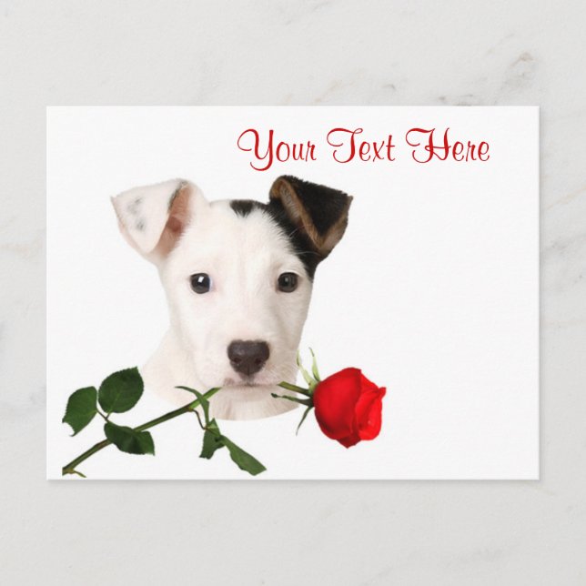 Cartes Pour Fêtes Annuelles Conception de Valentine de rose rouge de Jack (Devant)
