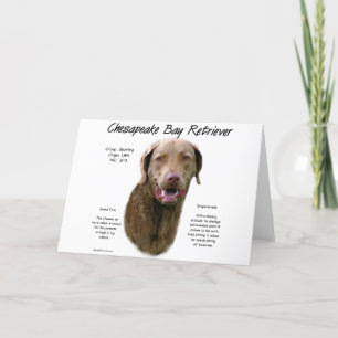 Cartes Pour Fêtes Annuelles Conception d'histoire de Retriever de la Baie de