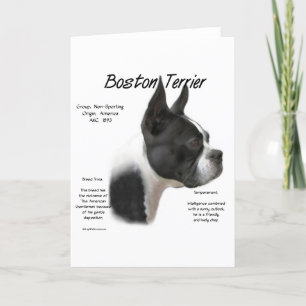 Cartes Pour Fêtes Annuelles Conception historique de Boston Terrier