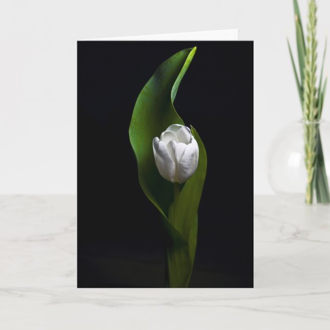 Cartes Pour Fêtes Annuelles Conceptions de tulipe (Devant)