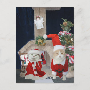 Cartes Pour Fêtes Annuelles Condo de Noël marrant/mignon