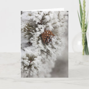 Cartes Pour Fêtes Annuelles Cône de pin de Lodgepole en hiver dans Yellowstone
