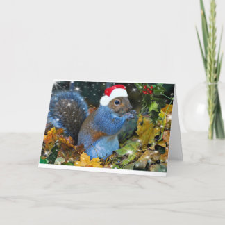 Cartes Pour Fêtes Annuelles Conservation de l'esprit